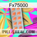 Fx75000 26